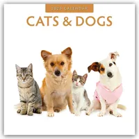 Browntrout Verlags GmbH Cats & Dogs - Katzen &