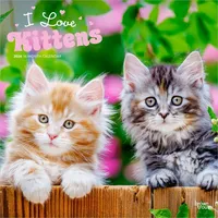 Brown trout-auslieferer flechsig I Love Kittens – Ich liebe