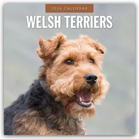 Browntrout Verlags GmbH Welsh Terriers - Welsh Terrier 2026