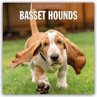 Brown trout-auslieferer flechsig Basset Hounds – Basset Hound 2026
