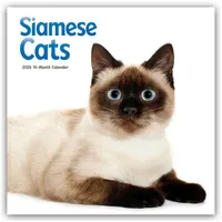 Flechsig Siamese Cats – Siamesische Katzen - Siamkatzen 2026