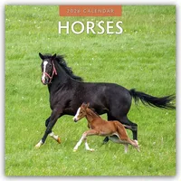 Browntrout Verlags GmbH Horses - Pferde 2026 - 16-Monatskalender