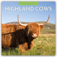 Browntrout Verlags GmbH Highland Cows – Hochland Kühe 2026