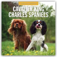 Browntrout Verlags GmbH Cavalier King Charles Spaniels – Cavalier