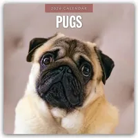 Red robin publishing Pugs – Mops 2026 – 16-Monatskalender: