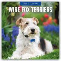 Brown trout-auslieferer flechsig Wire Fox Terriers – Drahthaar Foxterrier