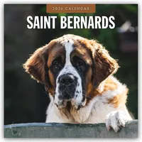 Brown trout-auslieferer flechsig Saint Bernards – Bernhardiner 2026 –