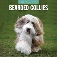 Brown trout-auslieferer flechsig Bearded Collies - Bearded Collie 2026