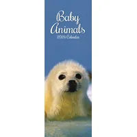 Browntrout Verlags GmbH Baby Animals - Tierkinder - Slimline-Kalender