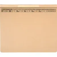 Soldan AdvoBedarf Hängehefter CLASSIC PLUS 7100913 chamois