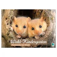 Calvendo Wald-Kindergarten: Tierkinder im Wald (Tischkalender 2026 DIN A5