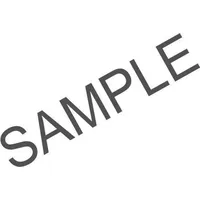 Rhp Flanschlager-Gehäuseeinheiten UKP206 D1+H2306 25 mm