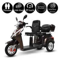 Efun ECO ENGEL 503 Elektromobil Zweisitzer 25 km/h braun
