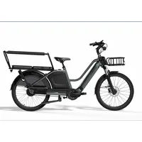 Tenways Longtail Duo 2025 24 Zoll RH 47 cm