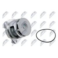 NTY Wasserpumpe CPW-CH-029]