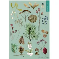 ArsEdition MyNOTES Papeterie: Notizheft Naturschätze