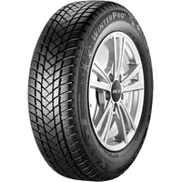 GT Radial Winterpro 2 195/65 R15 91T