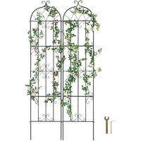 Vevor Rankhilfe, 221 x 50 cm, 2er-Set rostfreies Metallspalier