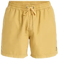 QUIKSILVER Boardshorts QUIKSILVER "Everyday Surfwash Volley 15", Herren, Gr.