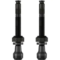 Schwalbe Tubeless Ventil Set 2 80mm length