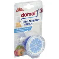 Domol Kühlschrank-Frische frisch 40,0 g, 1 St.