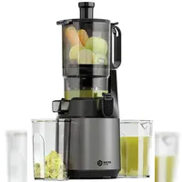 Endever Balter Slow Juicer grau