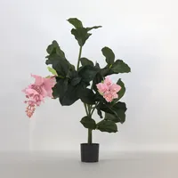Plant in a Box - Künstliche Medinilla Magnifica –