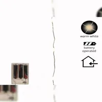 Lumineo LED Lichterkette Micro Silberdraht 1 m Warmweiß
