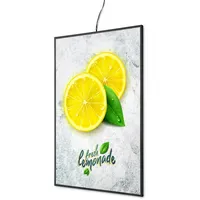 Showdown Displays LED Einschubrahmen Slim A2