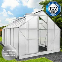 Brast Gewächshaus Alu Silber HKP 6 mm 10,75 m2
