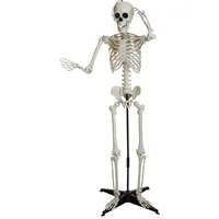 Europalms Halloween Skelett, stehend, 150 cm