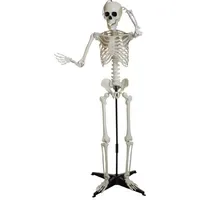 Europalms Halloween Skelett stehend 150 cm