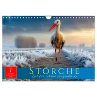 Calvendo Störche - Zeit für schöne Augenblicke (Wandkalender 2026
