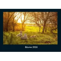 Vero Kalender Bäume 2026 Fotokalender DIN A4 von Tobias