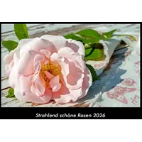 Vero Kalender Strahlend schöne Rosen 2026 Fotokalender DIN A3