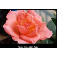 Vero Kalender Rosen-Kalender 2026 Fotokalender DIN A3 von Tobias
