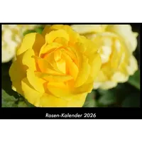 Vero Kalender Rosen-Kalender 2026 Fotokalender DIN A3 von Tobias
