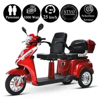 Efun ECO ENGEL 503 Rot, 25 km/h