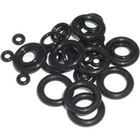 Sram O-Ring Kit - Pro Bleed Syringe SRAM Set=10