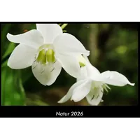 Vero Kalender Natur 2026 Fotokalender DIN A3 von Tobias