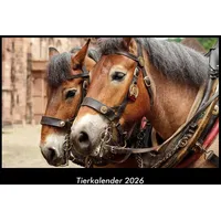 Vero Kalender Tierkalender 2026 Fotokalender DIN A3