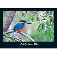 Vero Kalender Welt der Vögel 2026 Fotokalender DIN A4