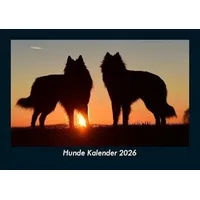 Vero Kalender Hunde Kalender 2026 Fotokalender DIN A5 von