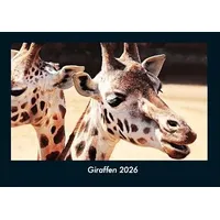 Vero Kalender Giraffen 2026 Fotokalender DIN A4 von Tobias