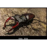 Vero Kalender Käfer 2026 Fotokalender DIN