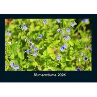 Vero Kalender Blumenträume 2026 Fotokalender DIN A4 von Tobias