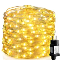 Salcar 100M LED Lichterkette Kupferdraht, 1000 LEDs Lichterkette Draht