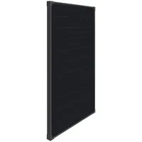 Ective BSP 100 monokristallin 100 W