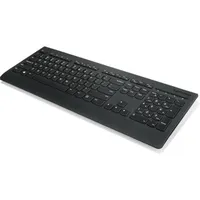 Lenovo Professional kabellos US