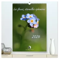 Calvendo Les fleurs, éternelles éphemères (Calendrier mural 2026 DIN